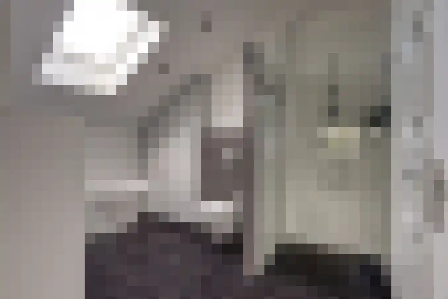 van Ruysdaellaan 48 Bergschenhoek thumbnail 38