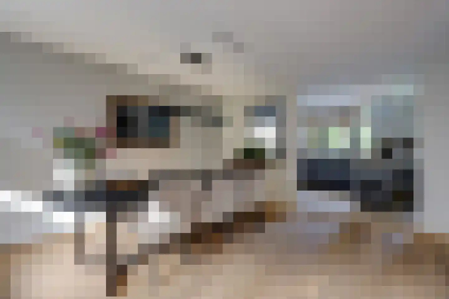 van Ruysdaellaan 48 Bergschenhoek thumbnail 4