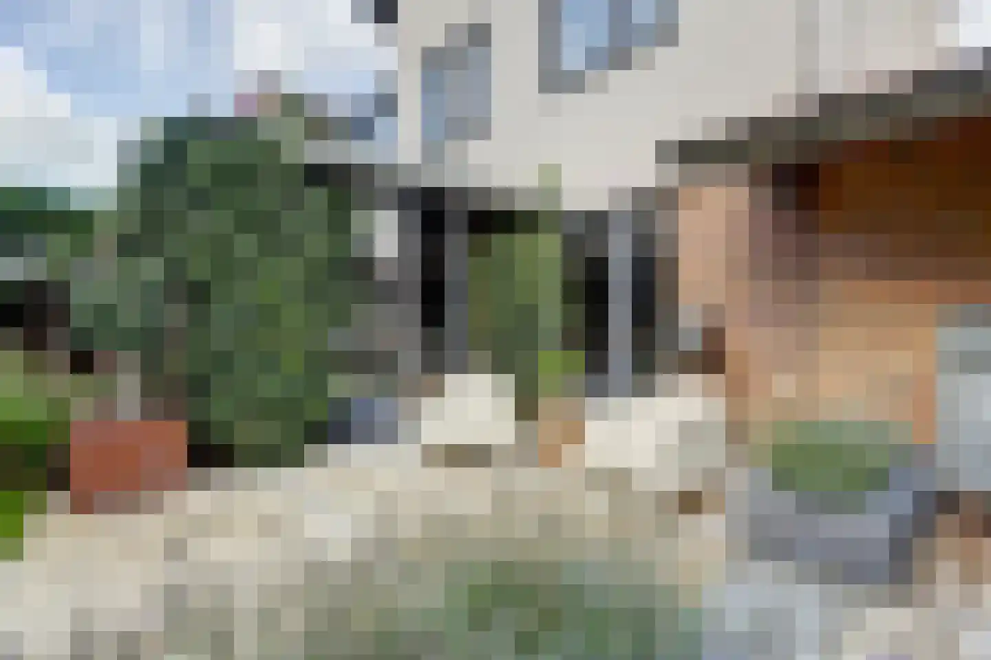 van Ruysdaellaan 48 Bergschenhoek thumbnail 42