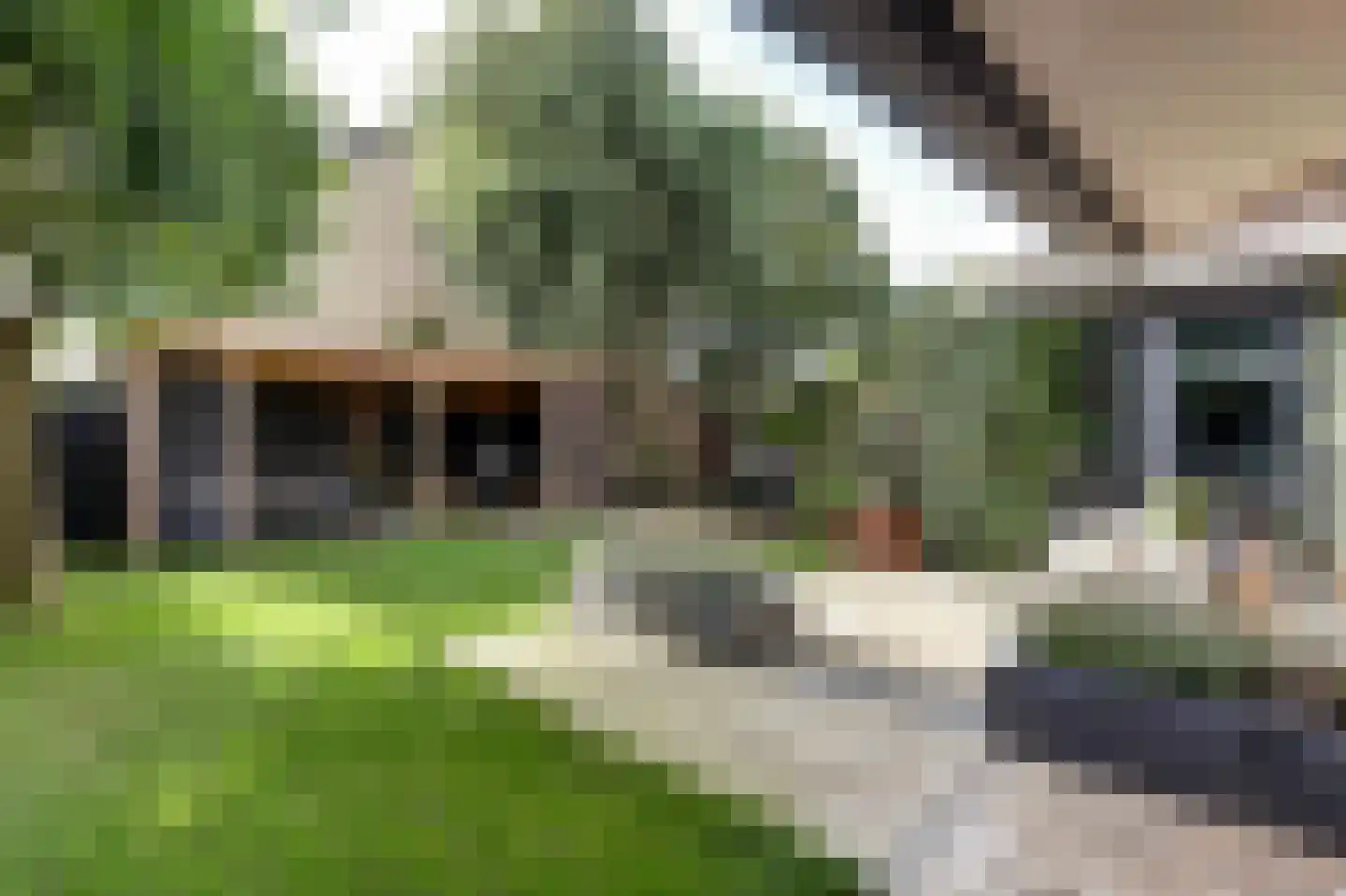 van Ruysdaellaan 48 Bergschenhoek thumbnail 43