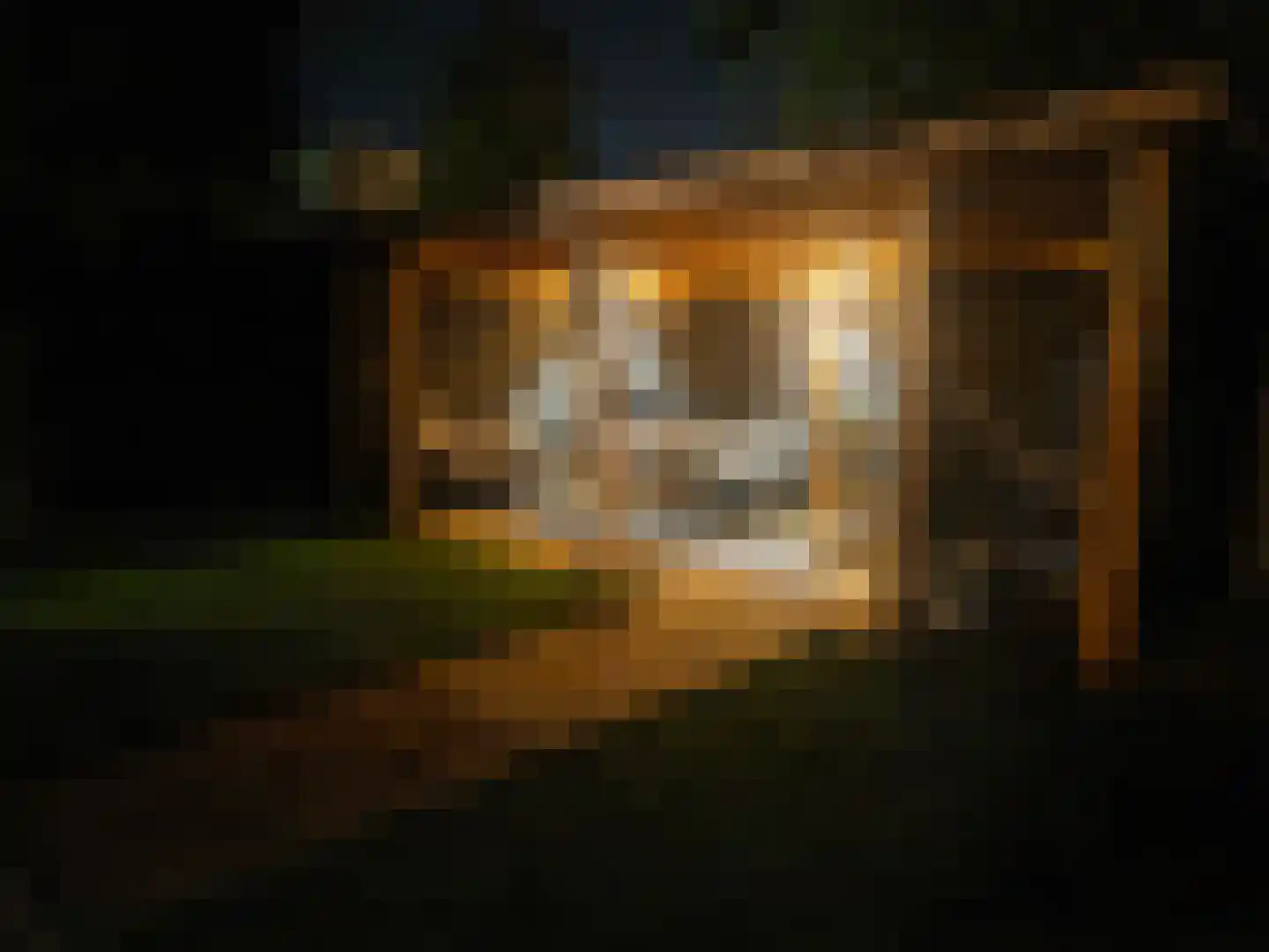van Ruysdaellaan 48 Bergschenhoek thumbnail 51