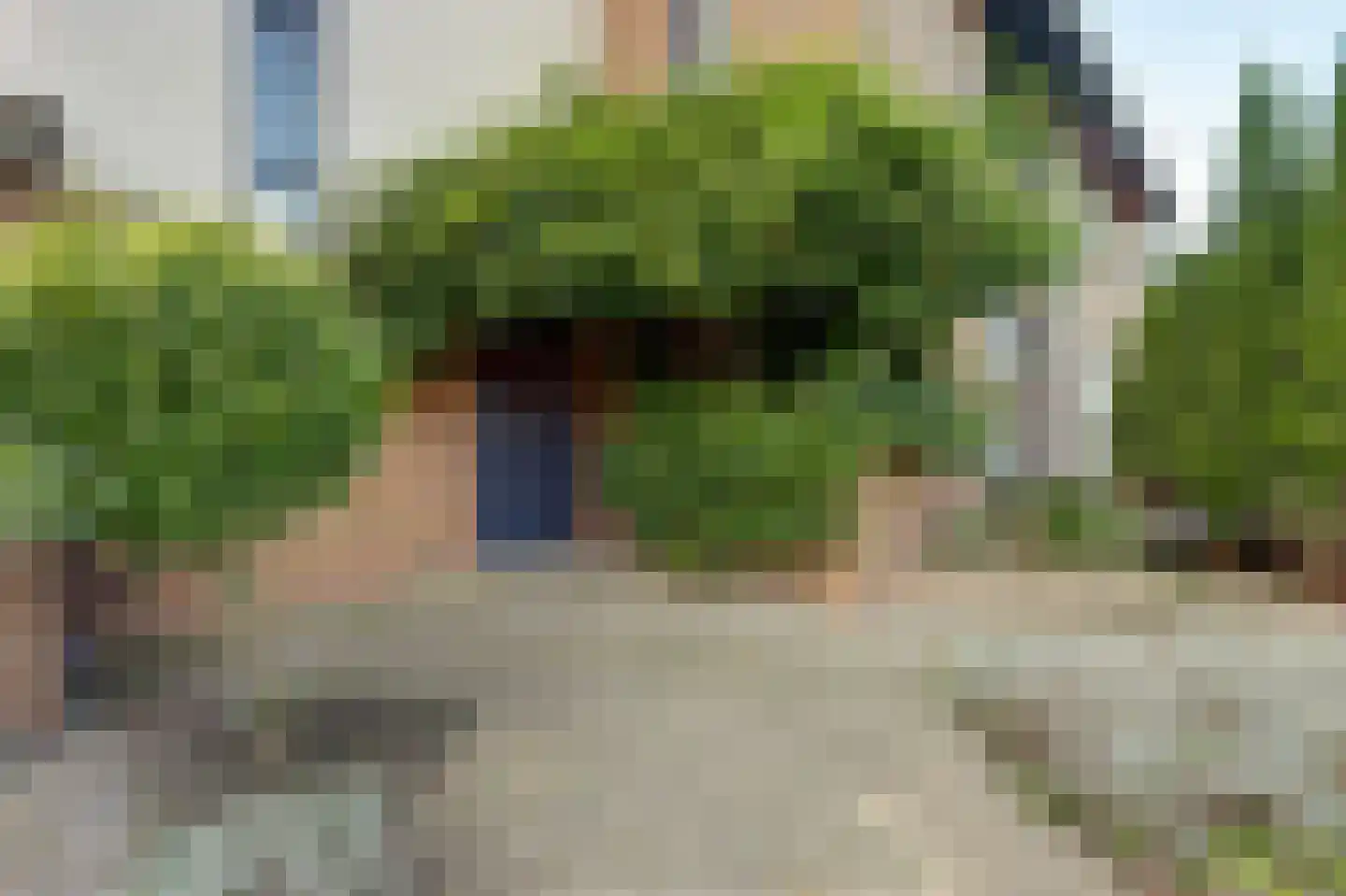 van Ruysdaellaan 48 Bergschenhoek thumbnail 7