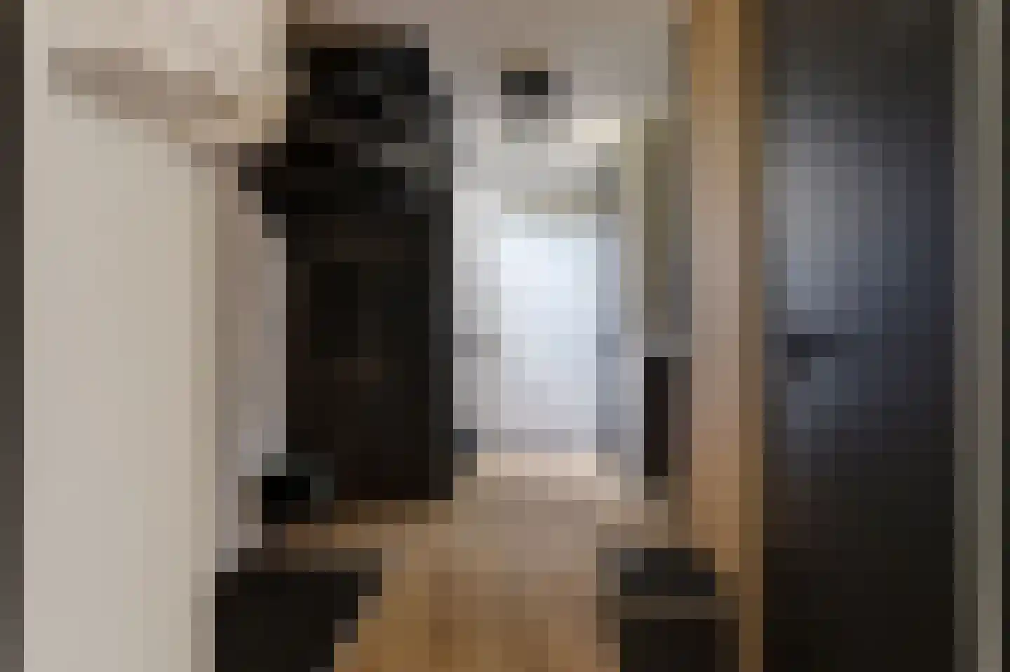 van Ruysdaellaan 48 Bergschenhoek thumbnail 8