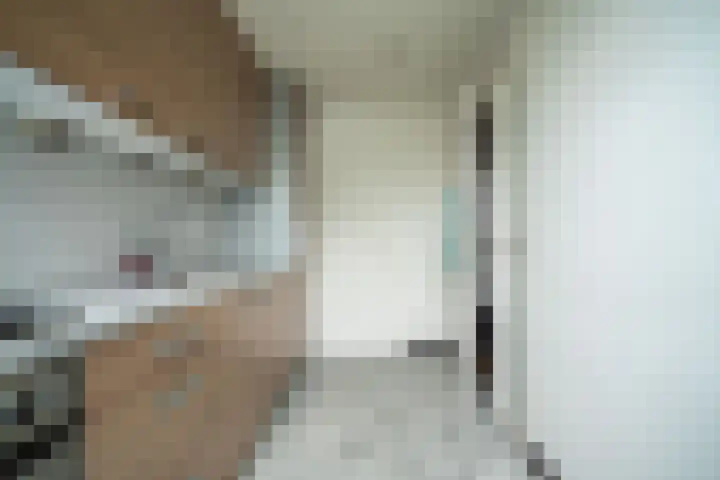 van Ruysdaellaan 50 Leidschendam thumbnail 11