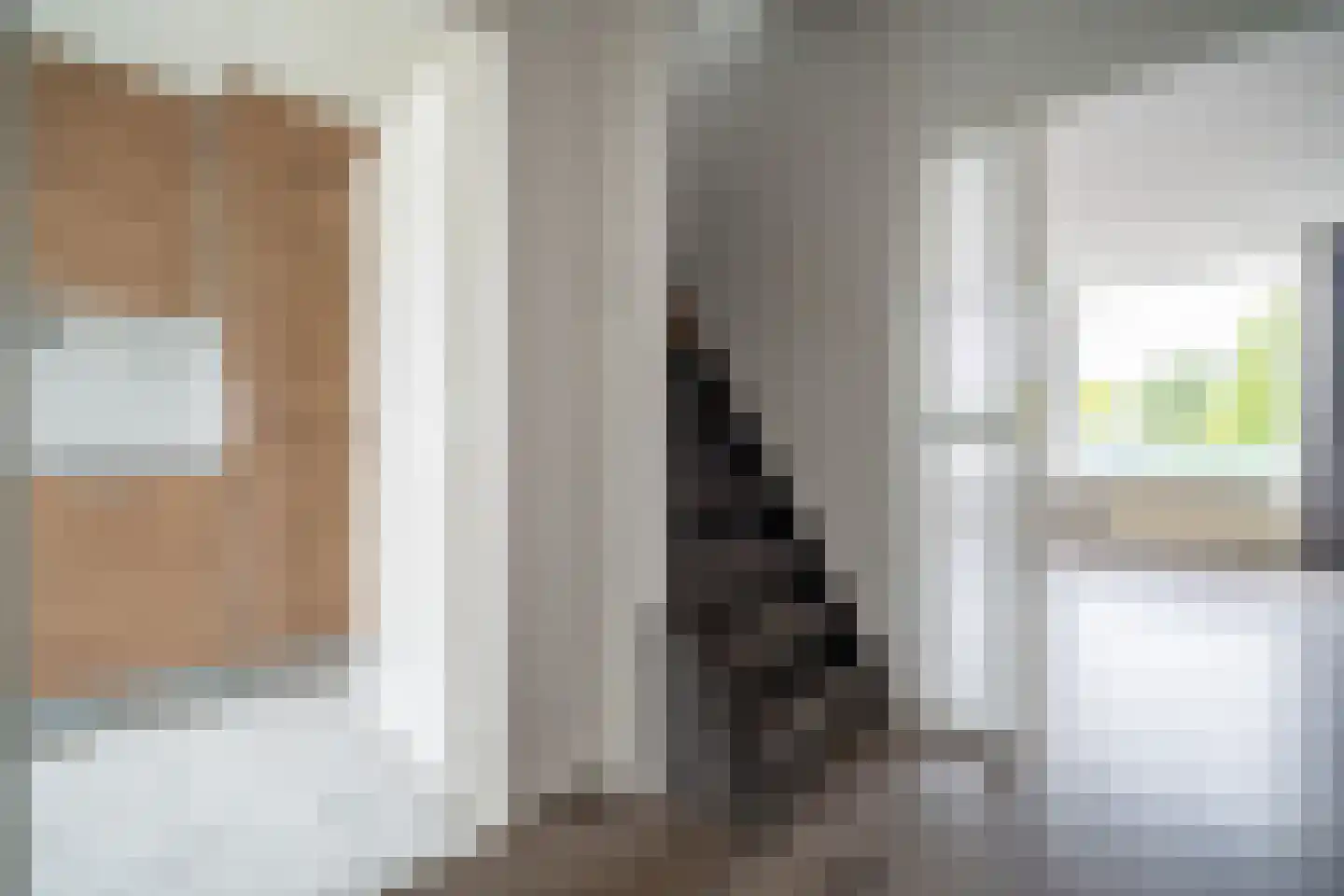 van Ruysdaellaan 50 Leidschendam thumbnail 13