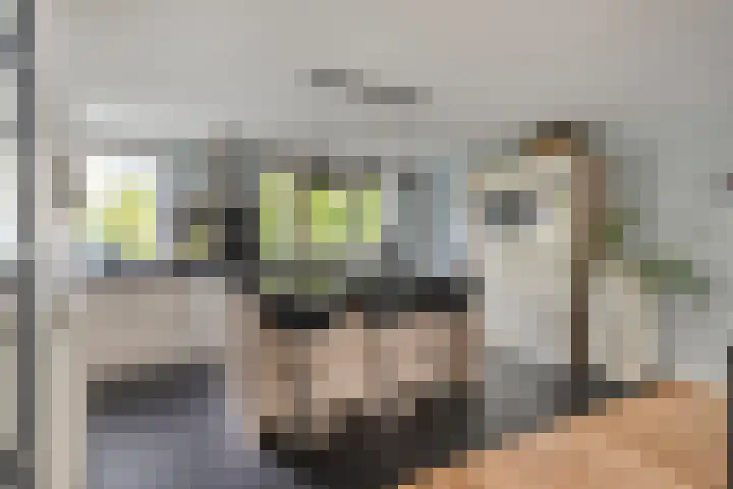 van Ruysdaellaan 52 Bergschenhoek thumbnail 12