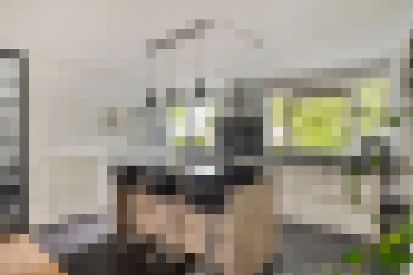 van Ruysdaellaan 52 Bergschenhoek thumbnail 13