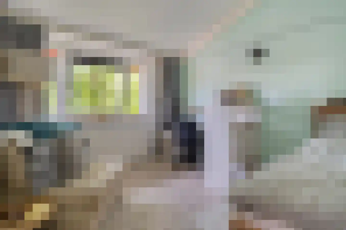 van Ruysdaellaan 52 Bergschenhoek thumbnail 19