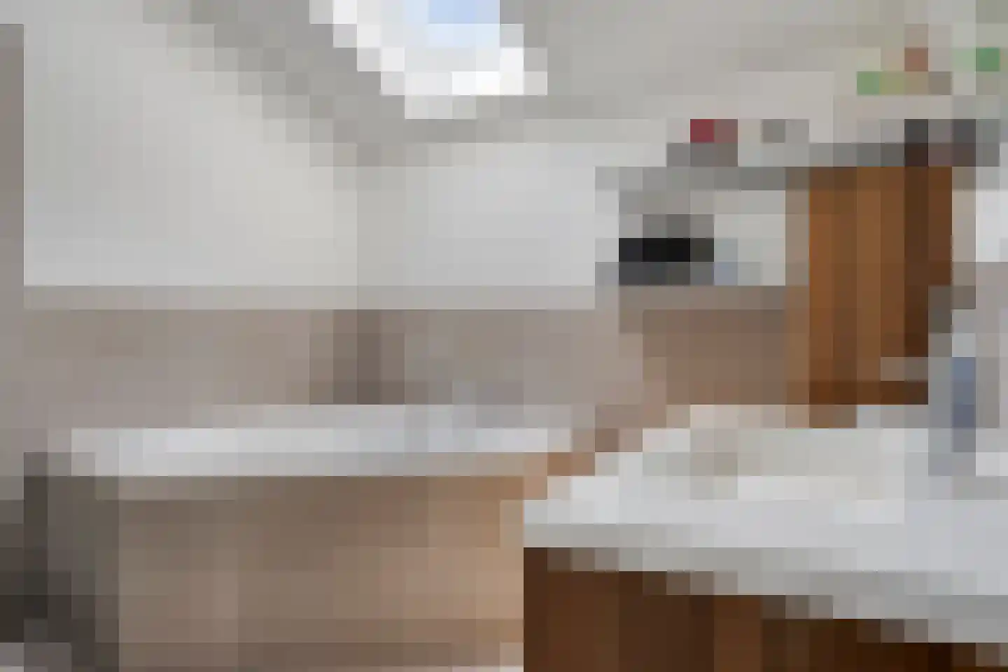van Ruysdaellaan 52 Bergschenhoek thumbnail 25