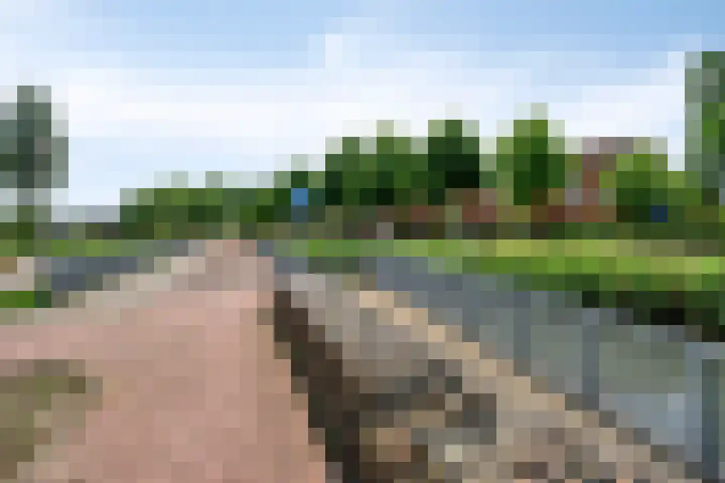 van Ruysdaellaan 52 Bergschenhoek thumbnail 43