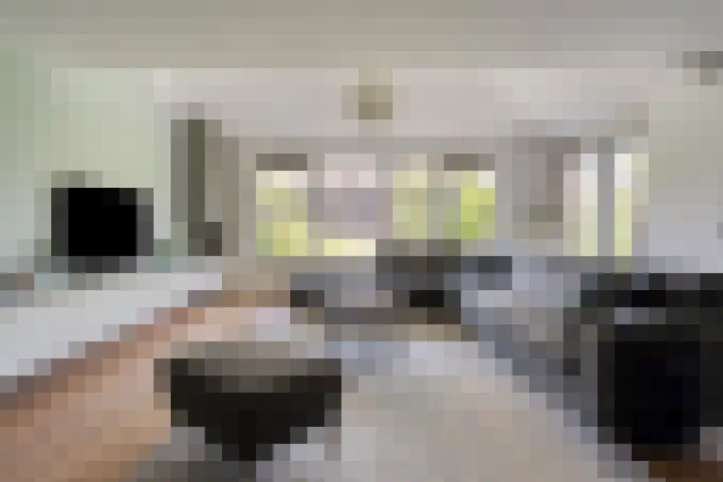 van Ruysdaellaan 52 Bergschenhoek thumbnail 7