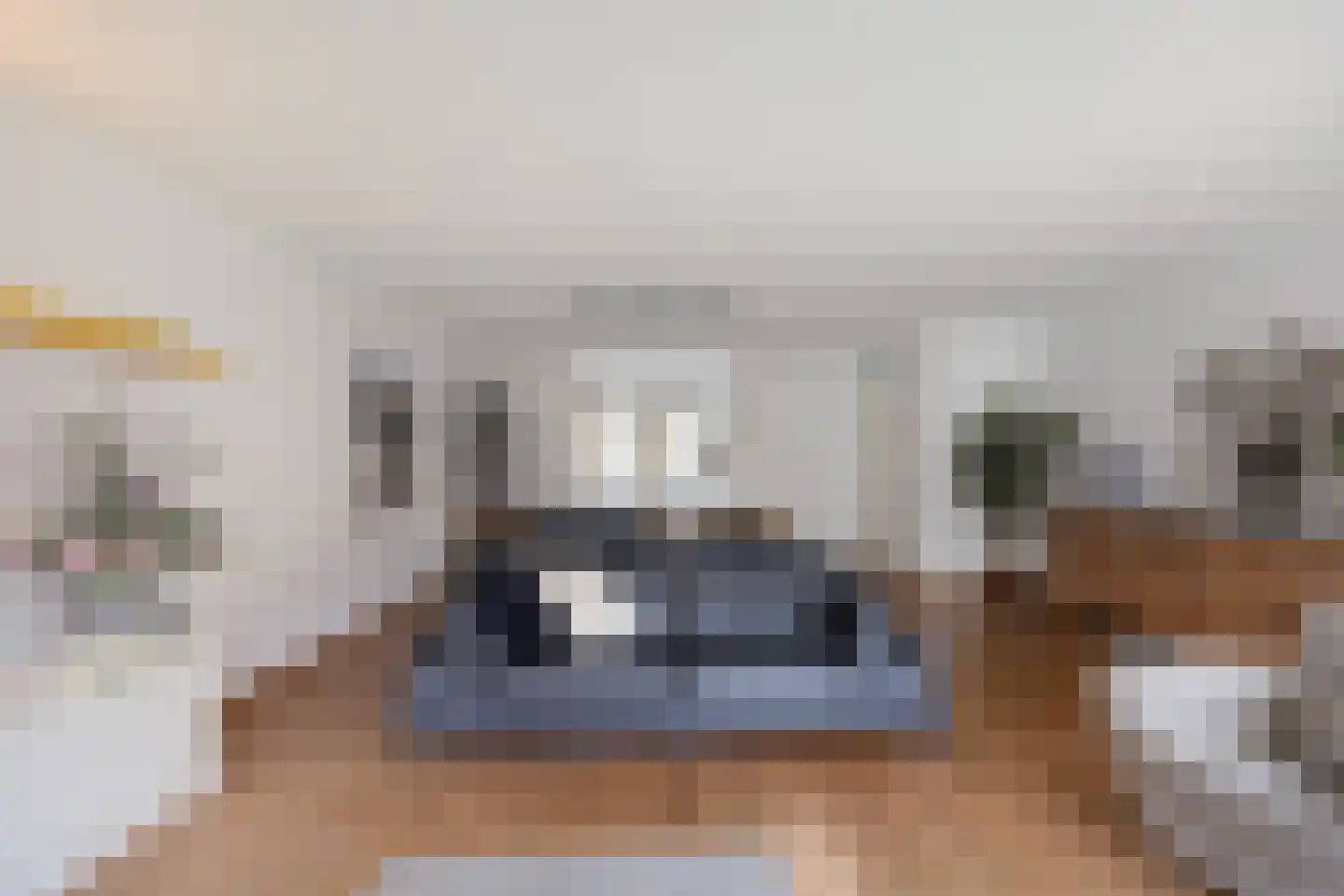 van Ruysdaellaan 54 Bergschenhoek thumbnail 12