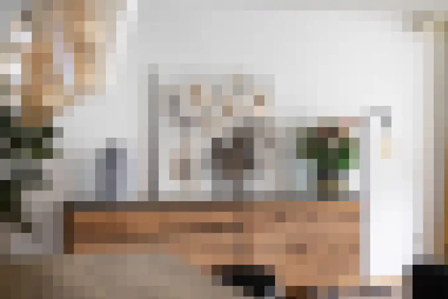 van Ruysdaellaan 54 Bergschenhoek thumbnail 14