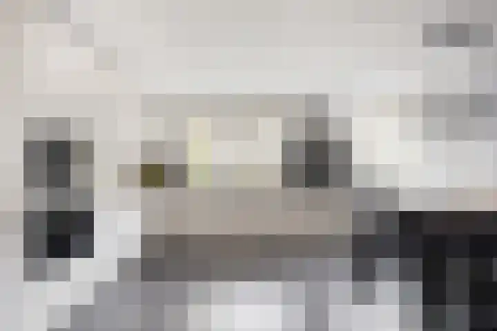 van Ruysdaellaan 54 Bergschenhoek thumbnail 15