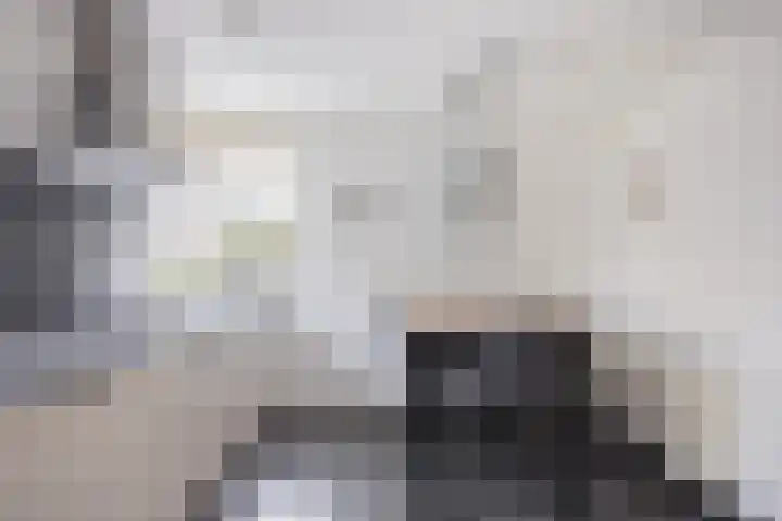 van Ruysdaellaan 54 Bergschenhoek thumbnail 17