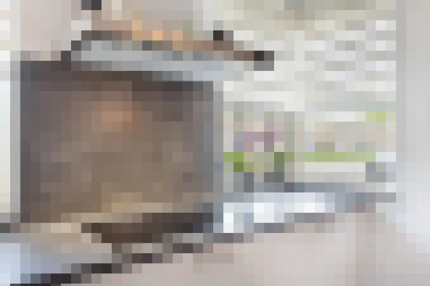 van Ruysdaellaan 54 Bergschenhoek thumbnail 18