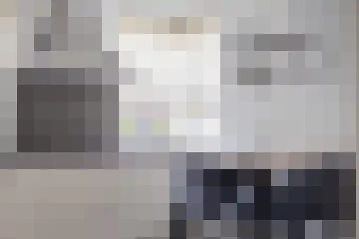 van Ruysdaellaan 54 Bergschenhoek thumbnail 19