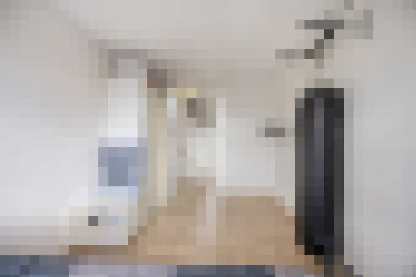 van Ruysdaellaan 54 Bergschenhoek thumbnail 27