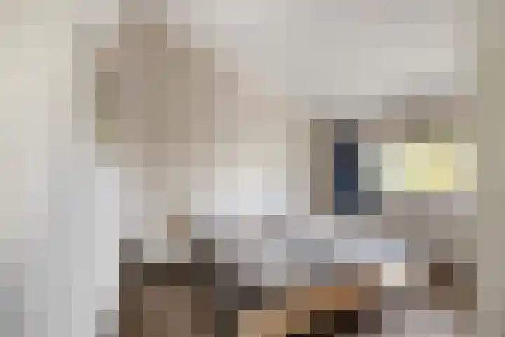 van Ruysdaellaan 54 Bergschenhoek thumbnail 31