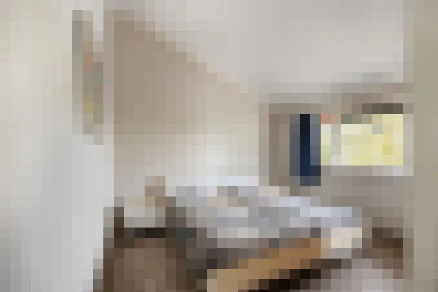 van Ruysdaellaan 54 Bergschenhoek thumbnail 31
