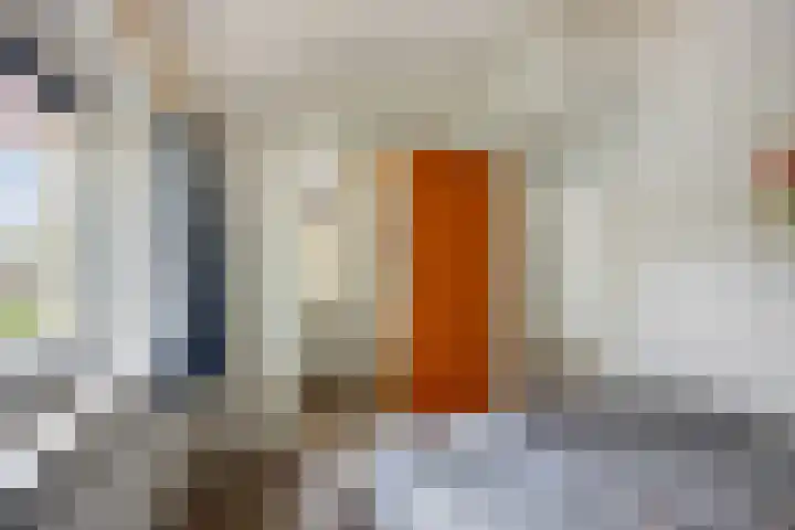 van Ruysdaellaan 54 Bergschenhoek thumbnail 32