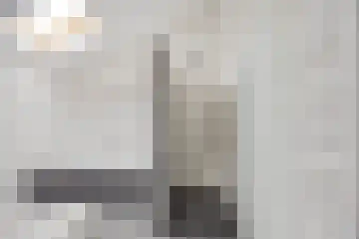 van Ruysdaellaan 54 Bergschenhoek thumbnail 34