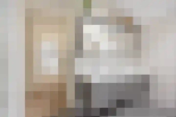 van Ruysdaellaan 54 Bergschenhoek thumbnail 35