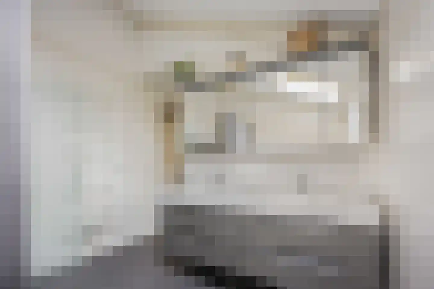 van Ruysdaellaan 54 Bergschenhoek thumbnail 36