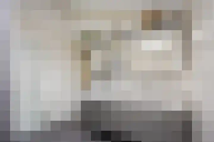 van Ruysdaellaan 54 Bergschenhoek thumbnail 36