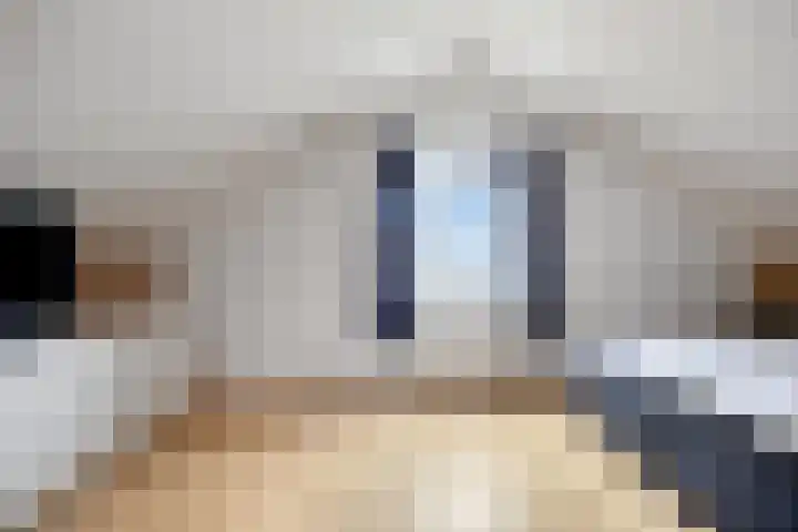 van Ruysdaellaan 54 Bergschenhoek thumbnail 39