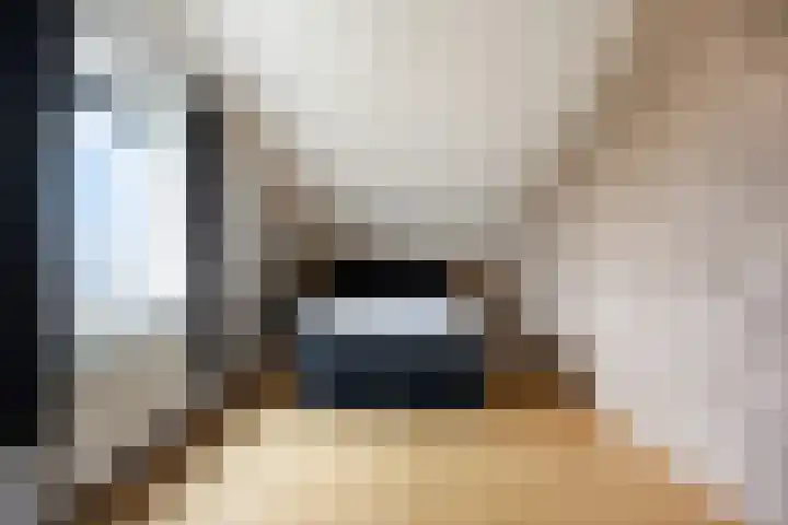 van Ruysdaellaan 54 Bergschenhoek thumbnail 40