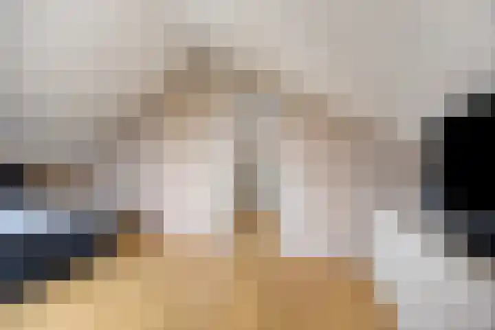 van Ruysdaellaan 54 Bergschenhoek thumbnail 41