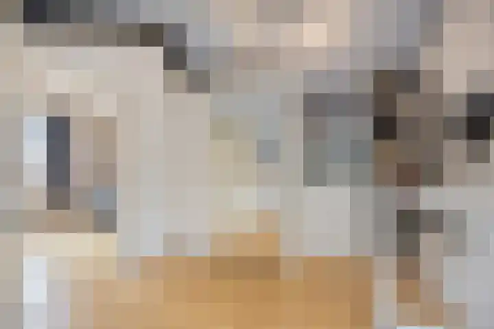 van Ruysdaellaan 54 Bergschenhoek thumbnail 43