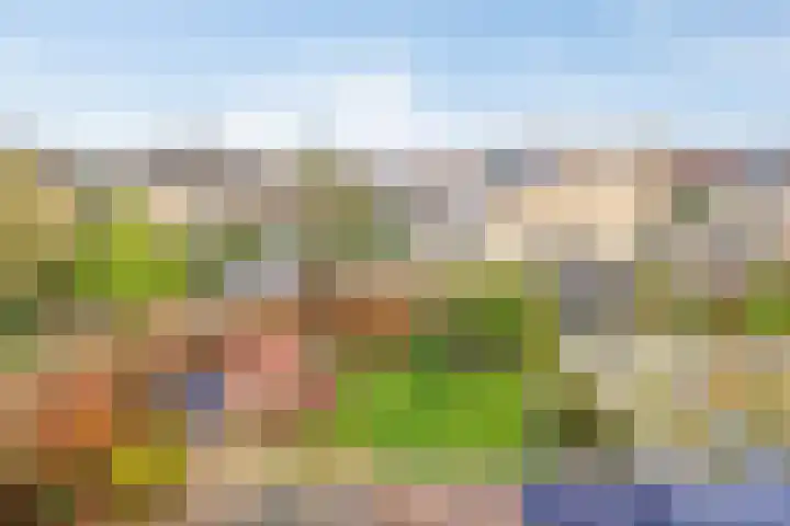 van Ruysdaellaan 54 Bergschenhoek thumbnail 44
