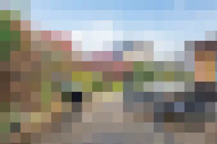 van Ruysdaellaan 54 Bergschenhoek thumbnail 48