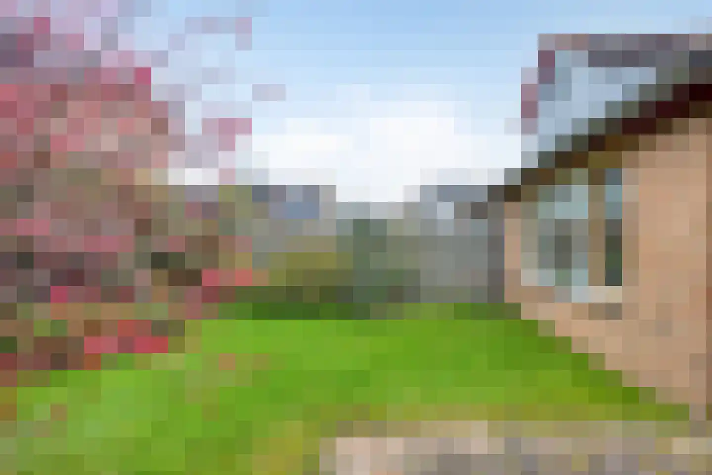 van Ruysdaellaan 54 Bergschenhoek thumbnail 51