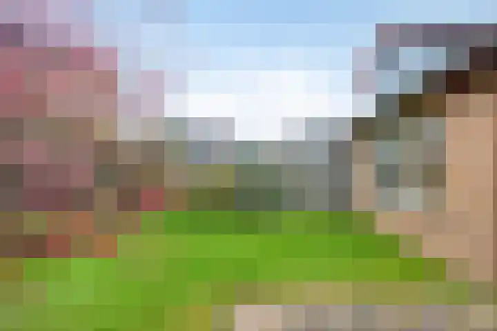 van Ruysdaellaan 54 Bergschenhoek thumbnail 51