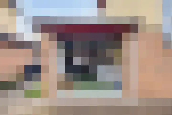 van Ruysdaellaan 54 Bergschenhoek thumbnail 52