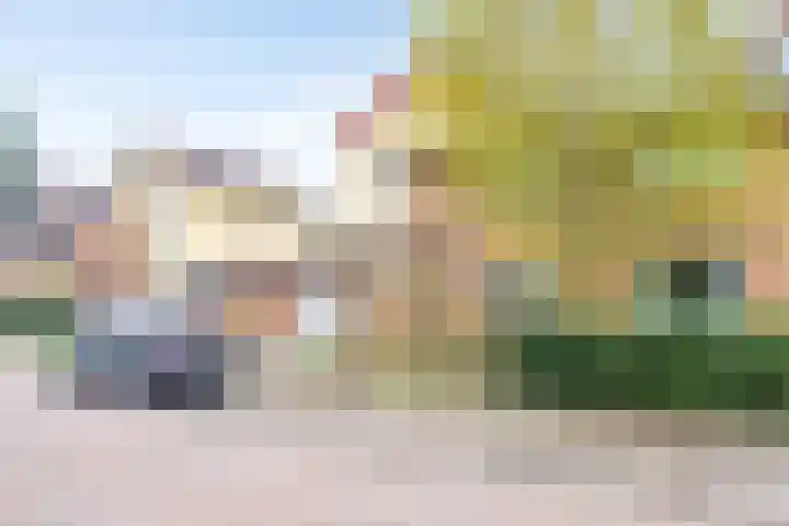 van Ruysdaellaan 54 Bergschenhoek thumbnail 55