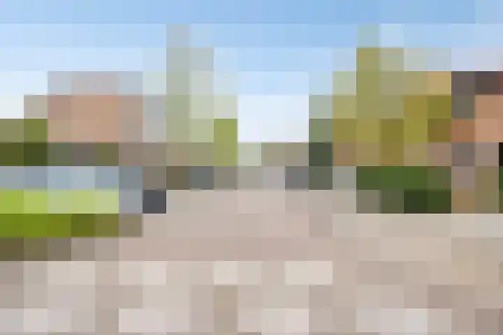 van Ruysdaellaan 54 Bergschenhoek thumbnail 56