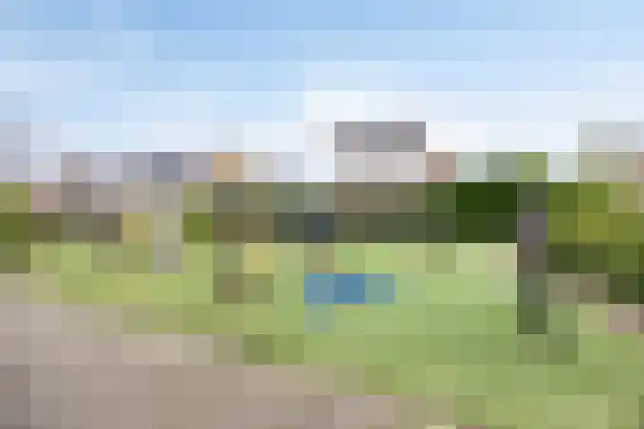 van Ruysdaellaan 54 Bergschenhoek thumbnail 58