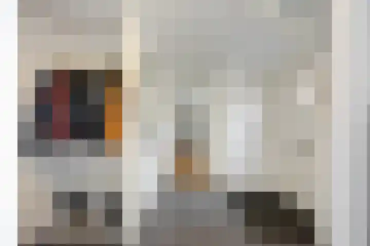 van Ruysdaellaan 54 Bergschenhoek thumbnail 6
