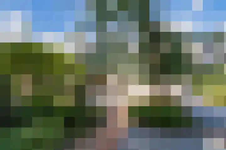 van Ruysdaellaan 54 Bergschenhoek thumbnail 66