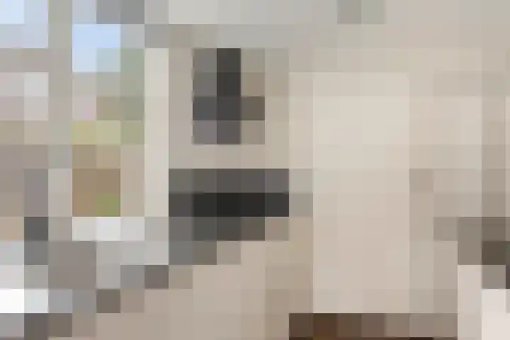 van Ruysdaellaan 54 Bergschenhoek thumbnail 67