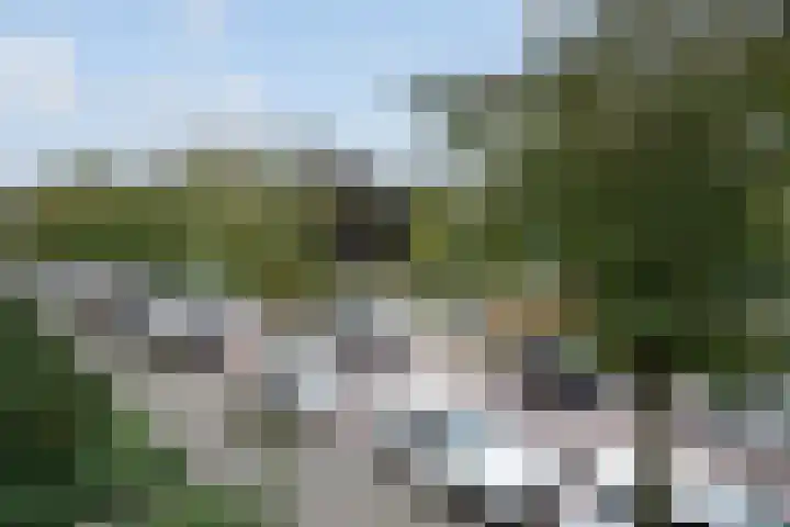 van Ruysdaellaan 54 Leidschendam thumbnail 22