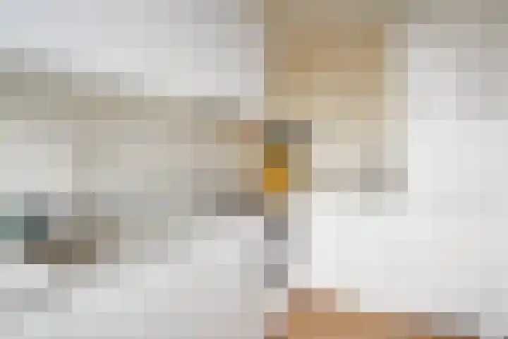 van Ruysdaellaan 54 Leidschendam thumbnail 34