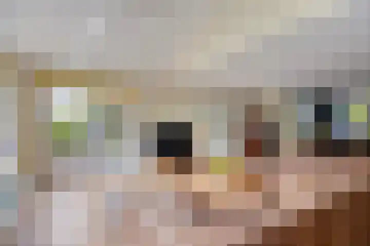 van Ruysdaellaan 60 Bergschenhoek thumbnail 10