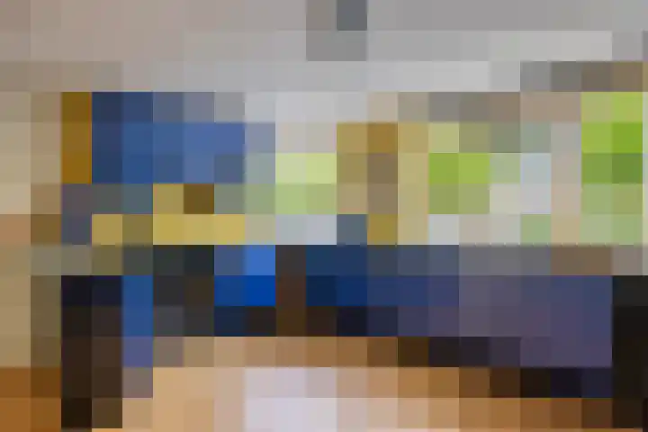 van Ruysdaellaan 60 Bergschenhoek thumbnail 14