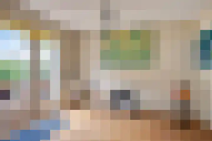 van Ruysdaellaan 60 Bergschenhoek thumbnail 16