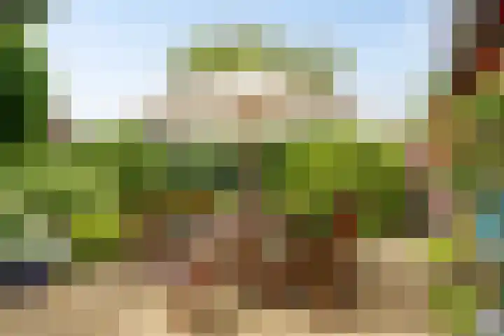 van Ruysdaellaan 60 Bergschenhoek thumbnail 17